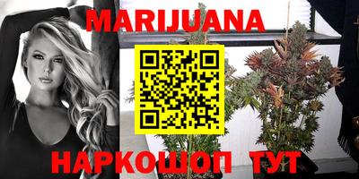 индика Краснознаменск