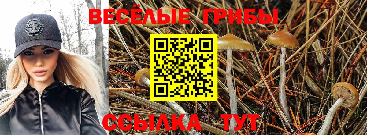 Карталы  Псилоцибиновые грибы MAGIC MUSHROOMS  Галлюциногенные грибы мицелий  Вход с VPN 